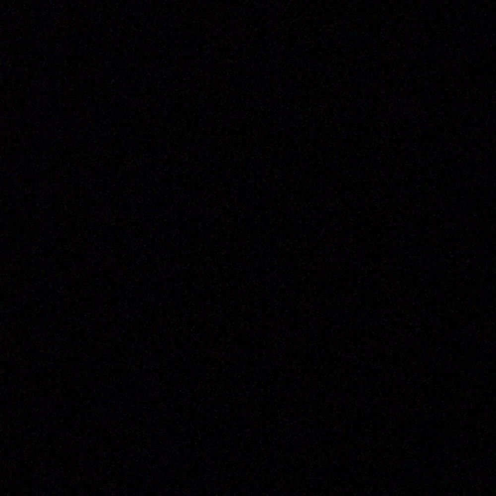 Meet your Posher, Gracie